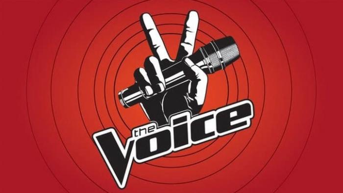     The Voice : plus que 8 jours pour participer au casting 

