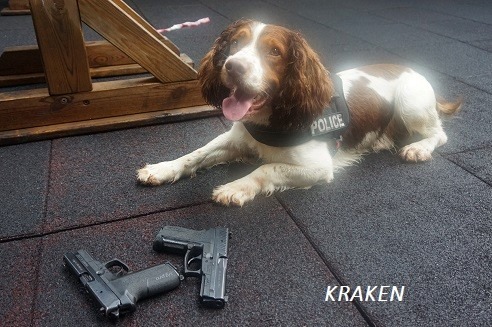     Le chien policier "Kraken" n'est plus 

