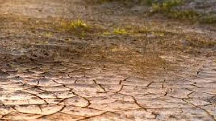     Plusieurs pays de la Caraïbe menacés par une sécheresse à long terme

