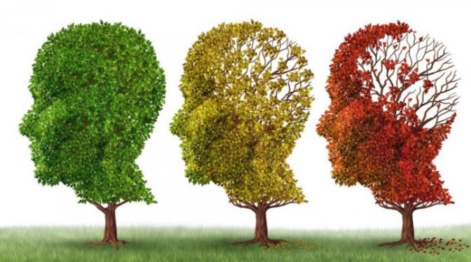     [TÉMOIGNAGE] Journée mondiale de lutte contre la maladie d'Alzheimer

