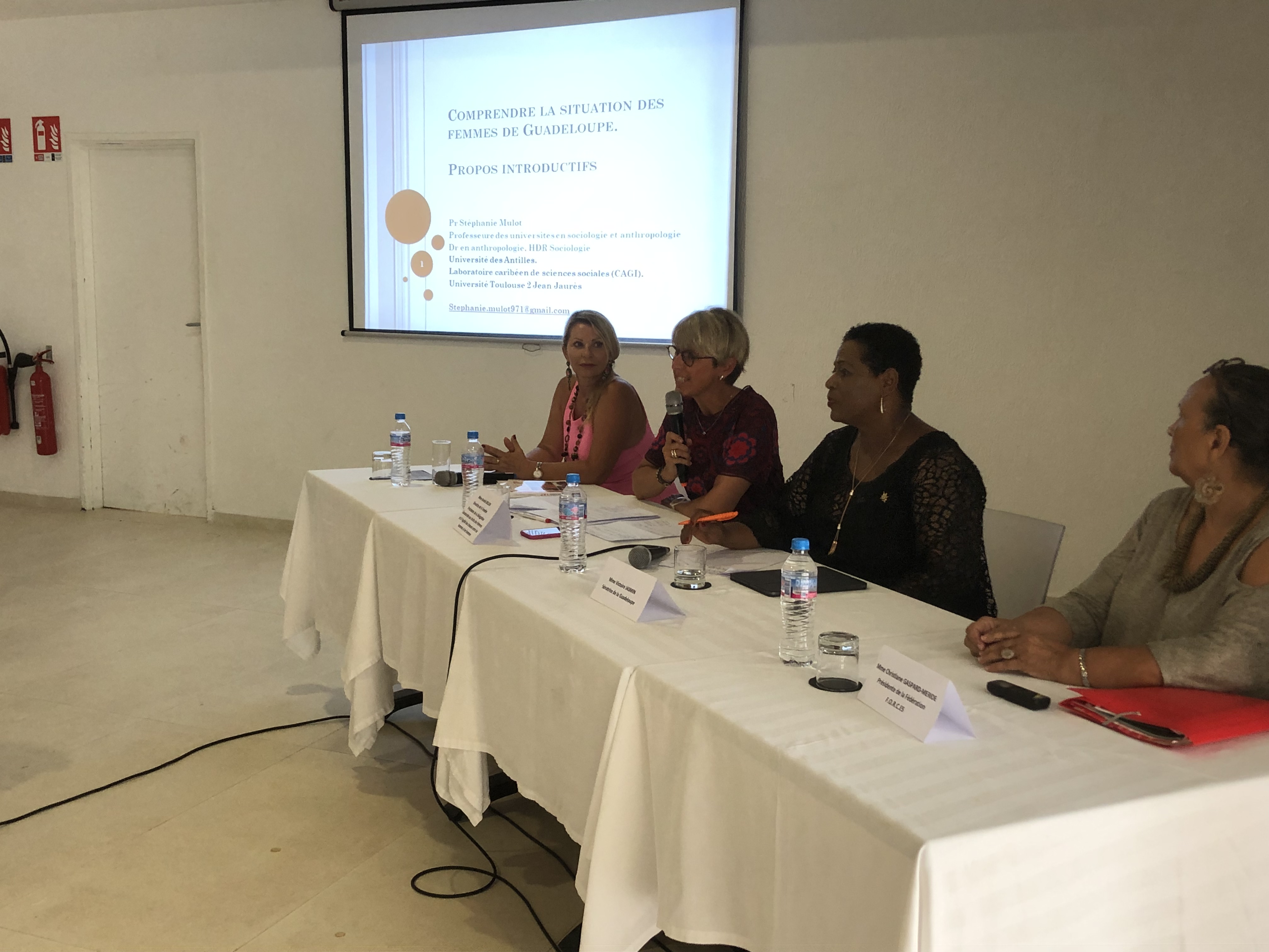     La délégation sénatoriale aux droits des femmes en Guadeloupe


