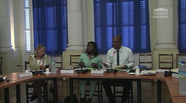     Dernières auditions en Martinique pour la commission d'enquête parlementaire sur le chlordécone

