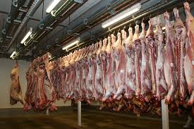     La filière viande veut relancer l’abattage à Marie-Galante

