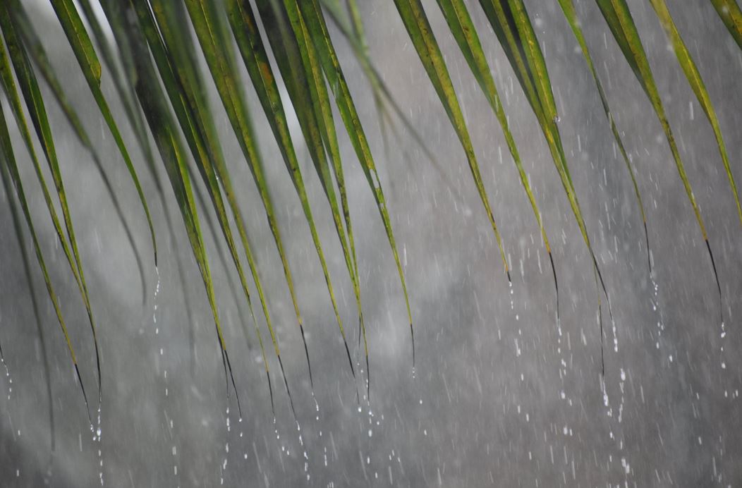     La Martinique connaît des pluies importantes depuis le mois de juin

