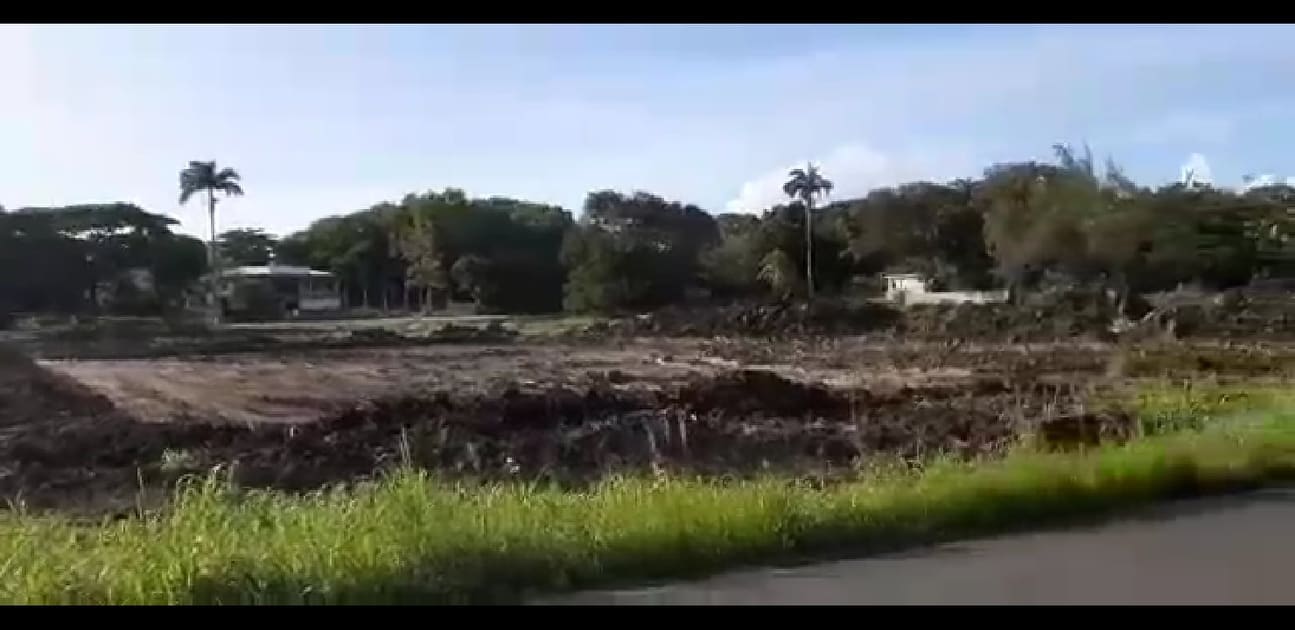     Des arbres centenaires détruits sans autorisation à Port-Louis 


