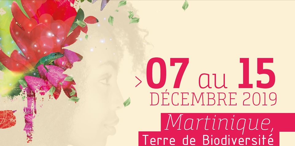     La Martinique accueille la 4e édition des Floralies Internationales


