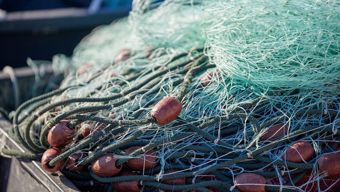     Une opération contre la pêche illégale menée en mer

