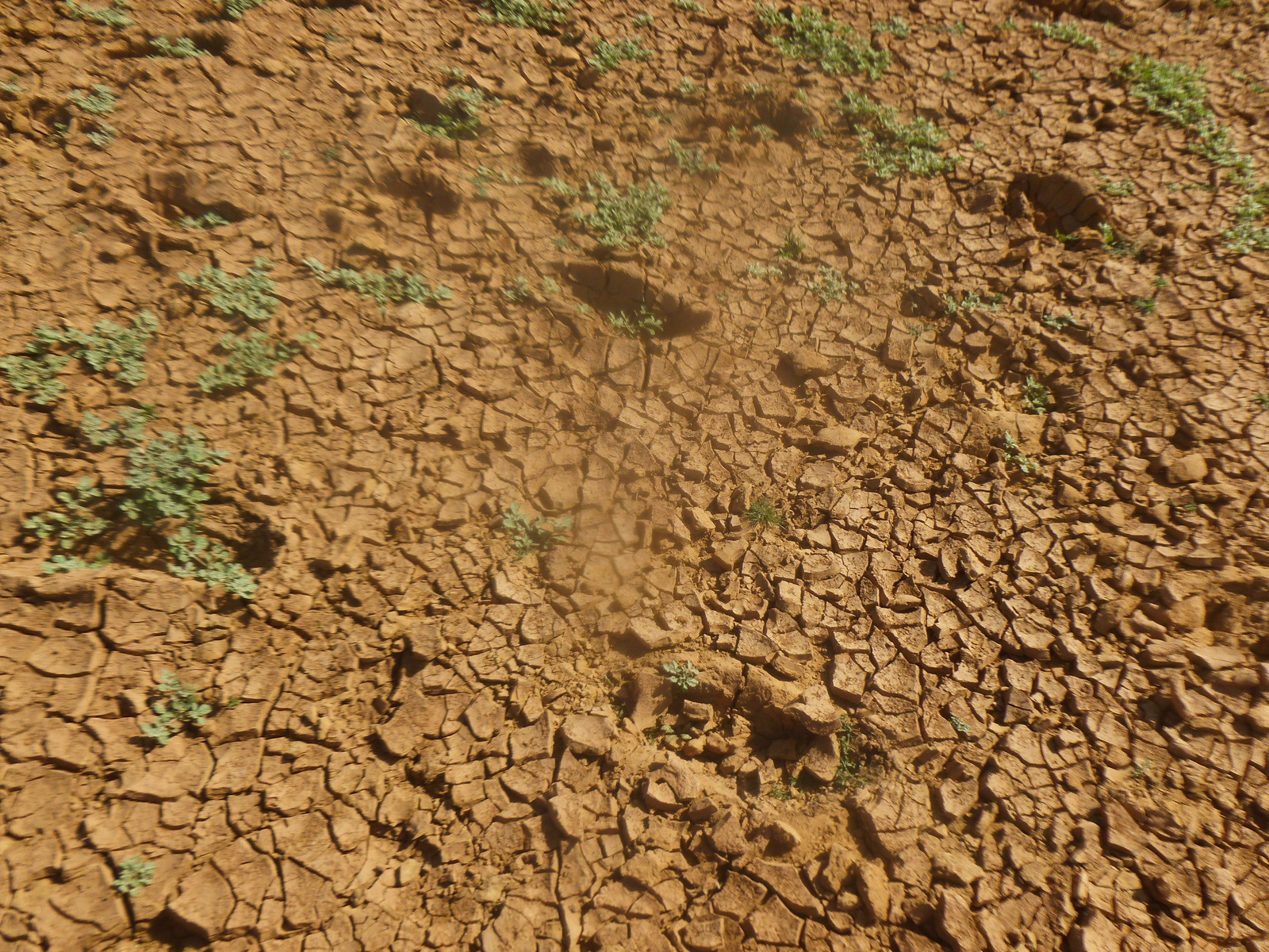     Météo : un mois de novembre plus sec que d'habitude 


