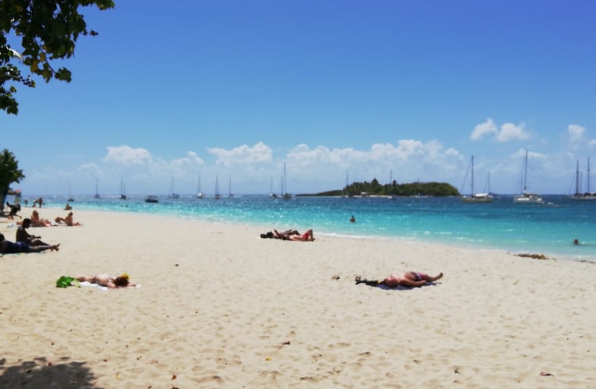     Les Antilles, destinations plébiscitées pour les vacances de février 

