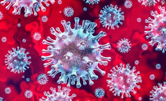     Coronavirus : l'avis du Conseil Scientifique pour les Outre-mer

