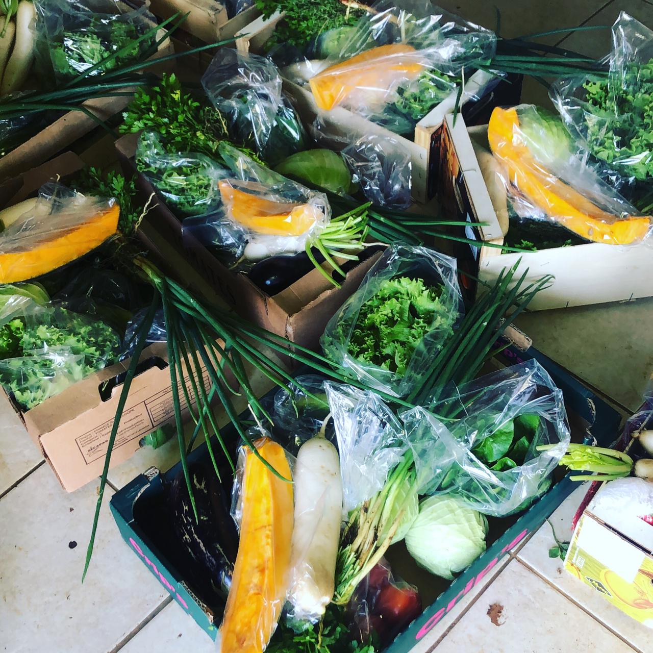     Des paniers de fruits et légumes frais livrés par des jeunes sur toute la Guadeloupe

