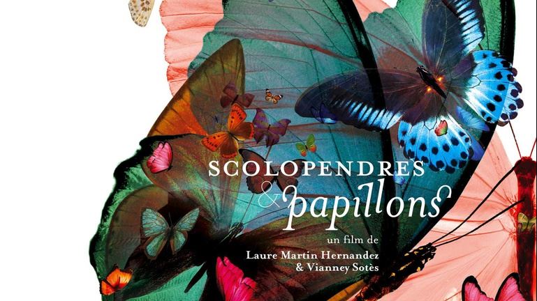     "Scolopendre et papillon", un film primé sur l'inceste diffusé sur internet

