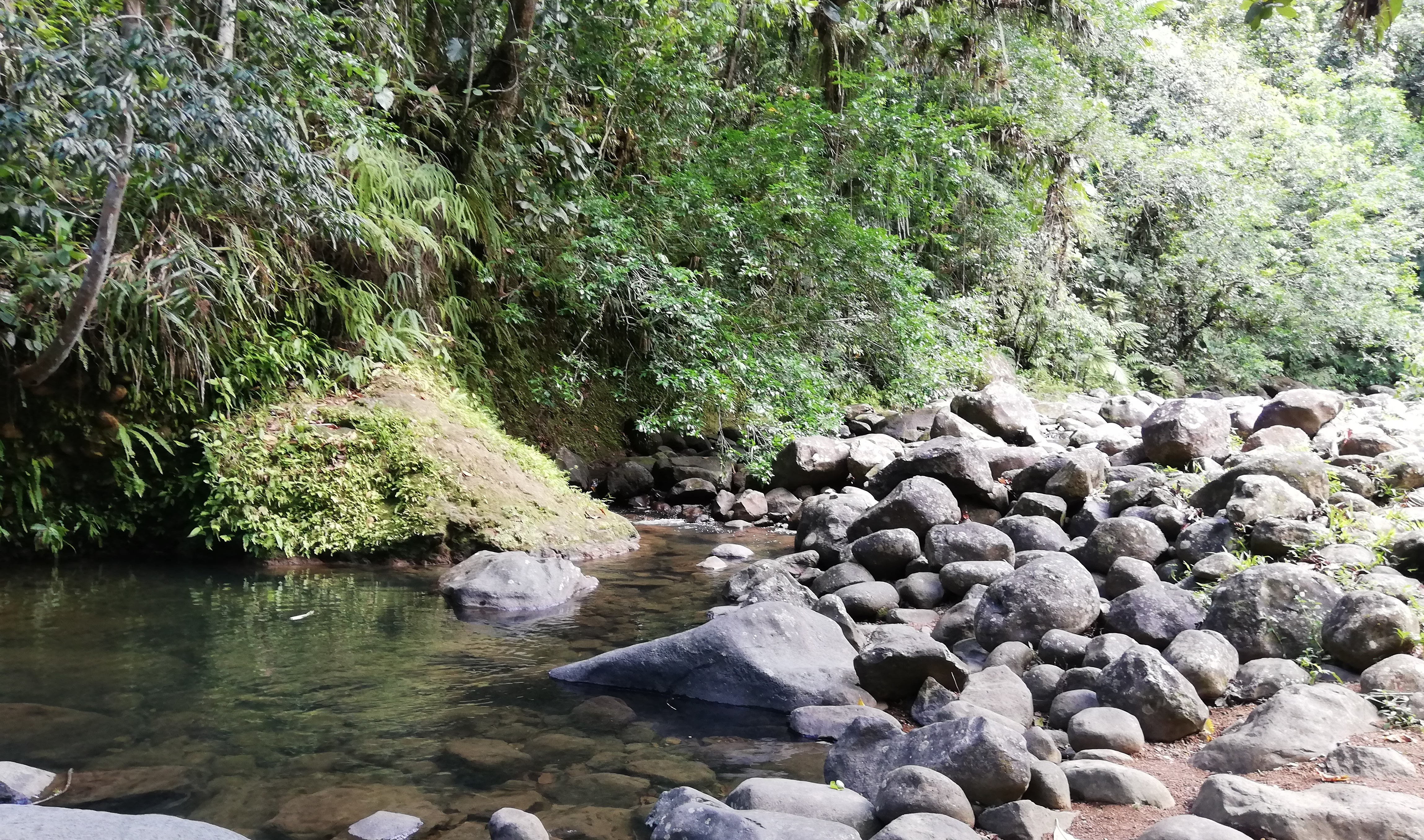     Un cahier pour comprendre la ressource en eau et le changement climatique en Guadeloupe 

