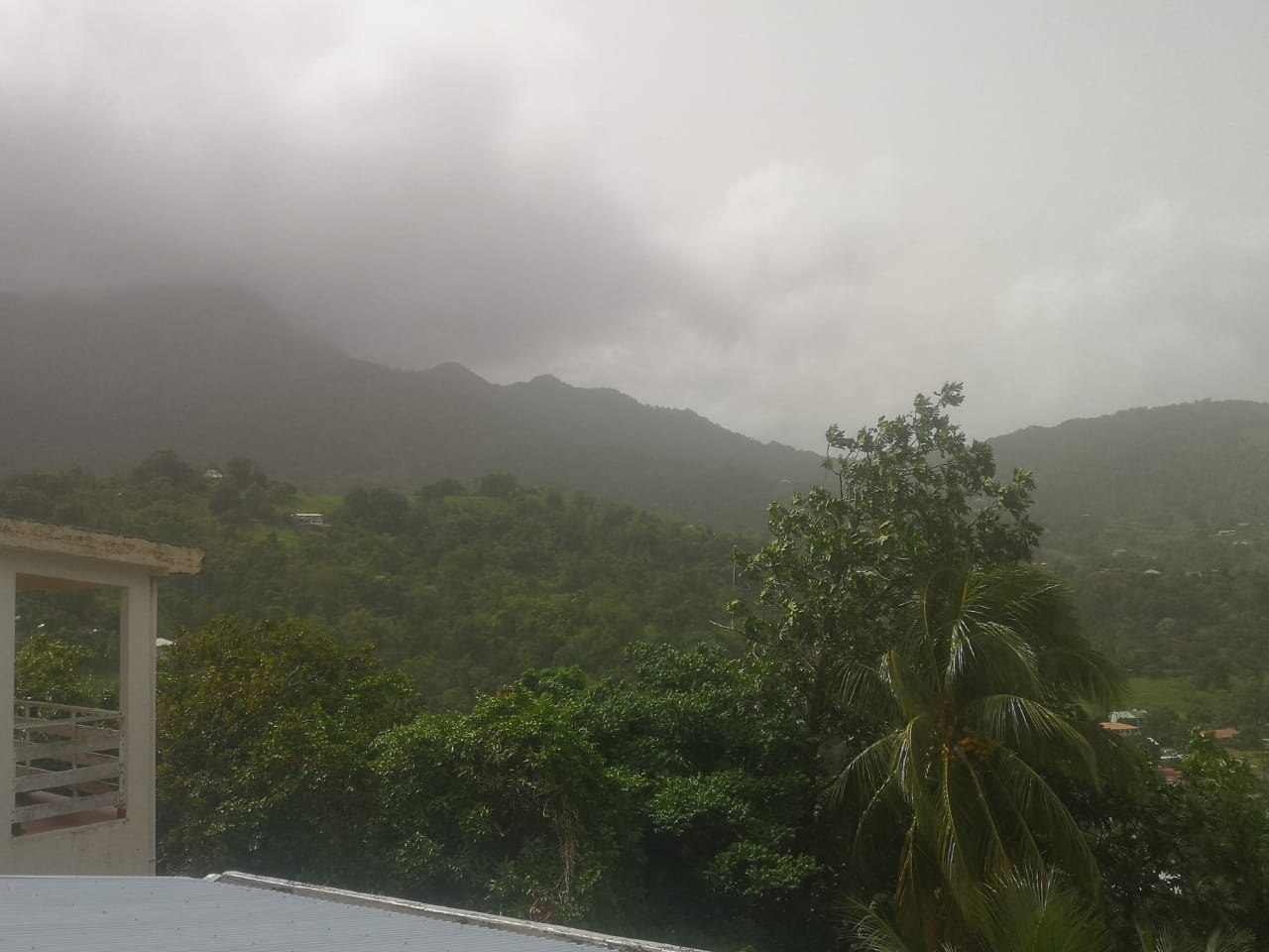     [Photos] Une brume de sable épaisse enveloppe la Martinique

