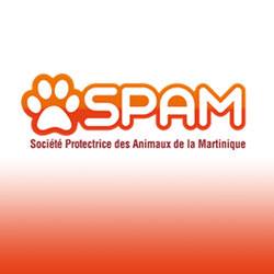     La SPA et d'autres associations protectrices des animaux portent plainte après le meurtre d'un chien


