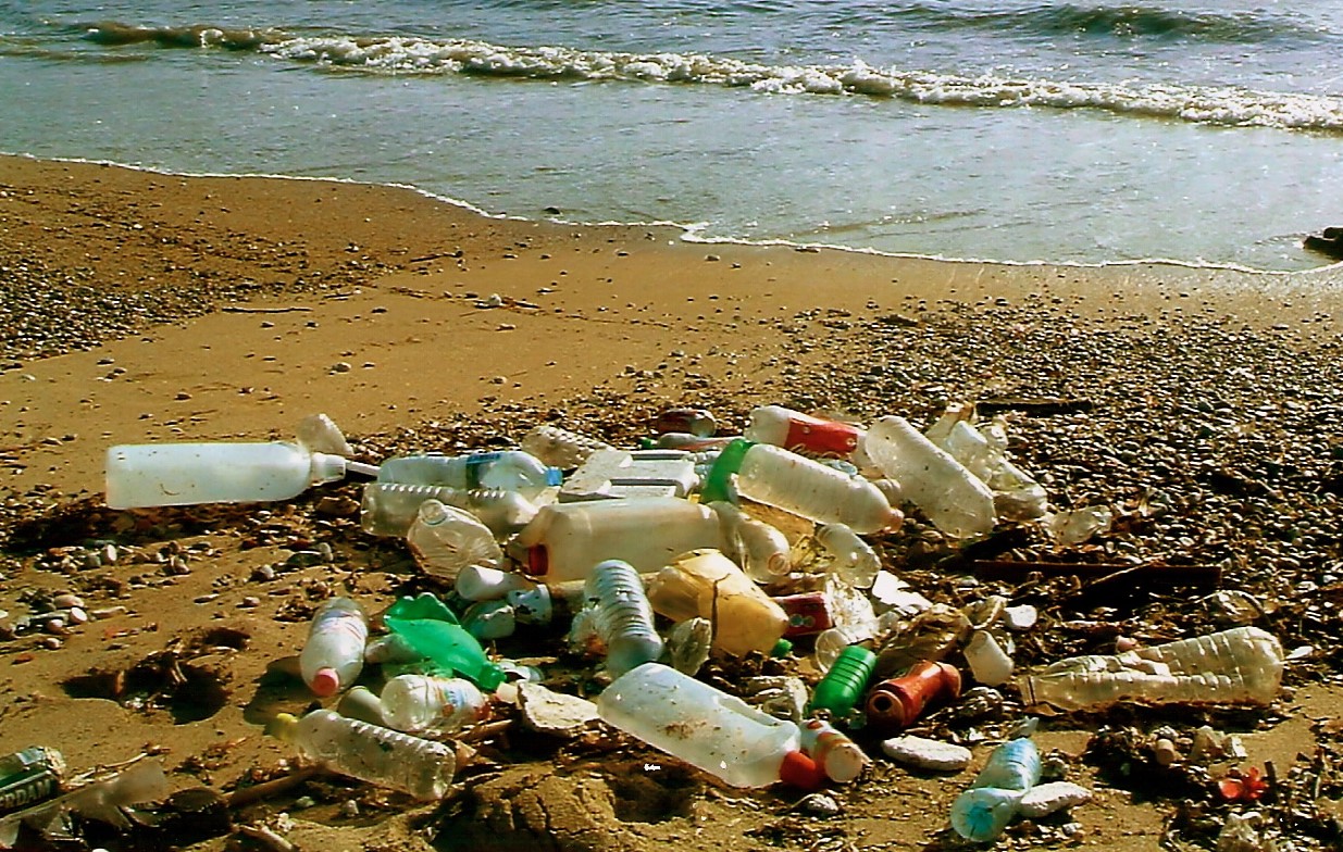     Beach Party : l'ONF porte plainte pour abandon de déchets 

