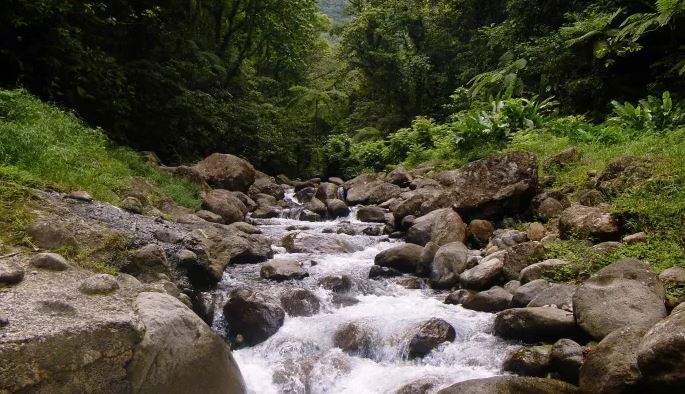     Sécheresse : le niveau des rivières continue de baisser en Martinique

