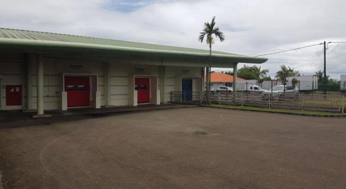     L'abattoir de Martinique est fermé pour au moins 5 jours

