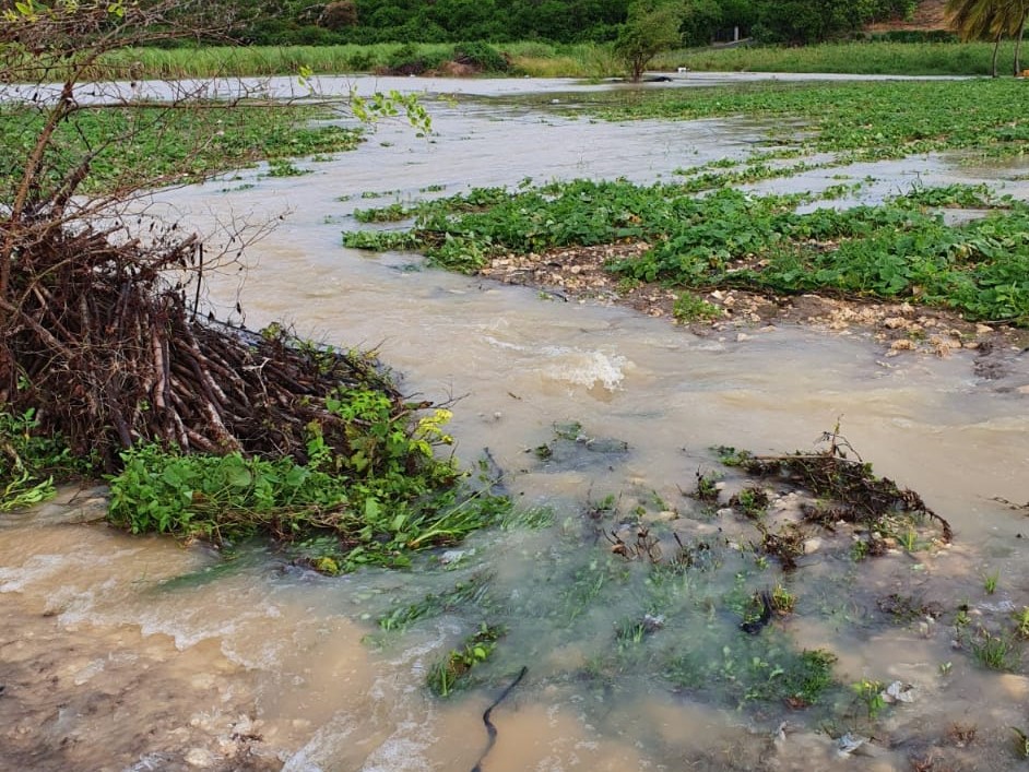     Des exploitations agricoles du Moule dévastées par des pluies diluviennes

