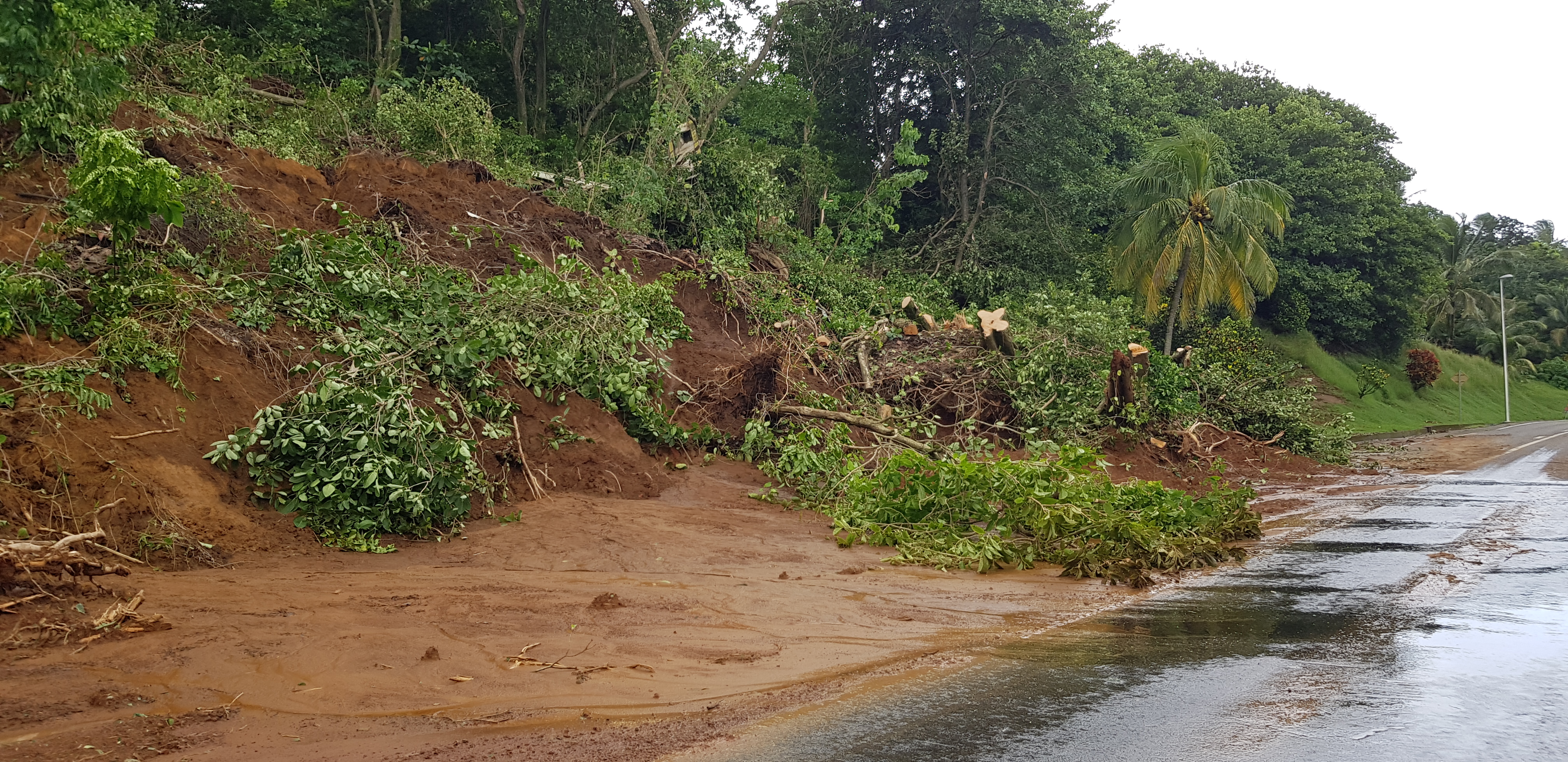     Cyclone Tammy : le point sur le réseau routier en Martinique ce dimanche soir


