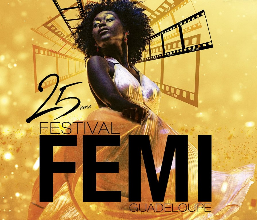    FEMI, la 25ème édition entre souvenirs et rétrospective

