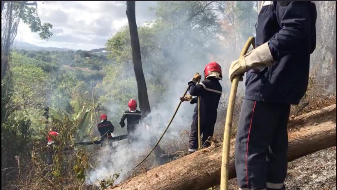     819 600 alloués à la lutte contre les feux de forêt en Guadeloupe

