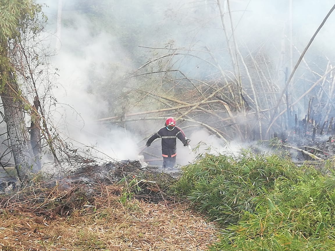     Un radar incendié au Lamentin et un feu de bambous au François 

