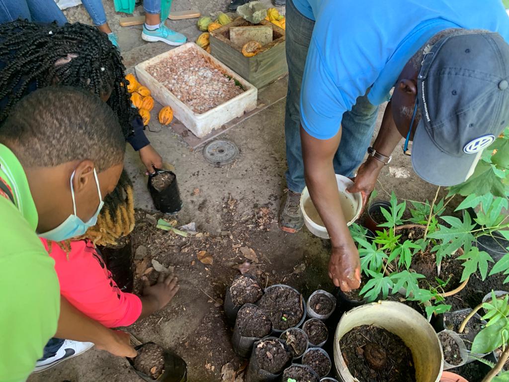     La filière du cacao de Martinique sensibilise les plus jeunes à leur patrimoine

