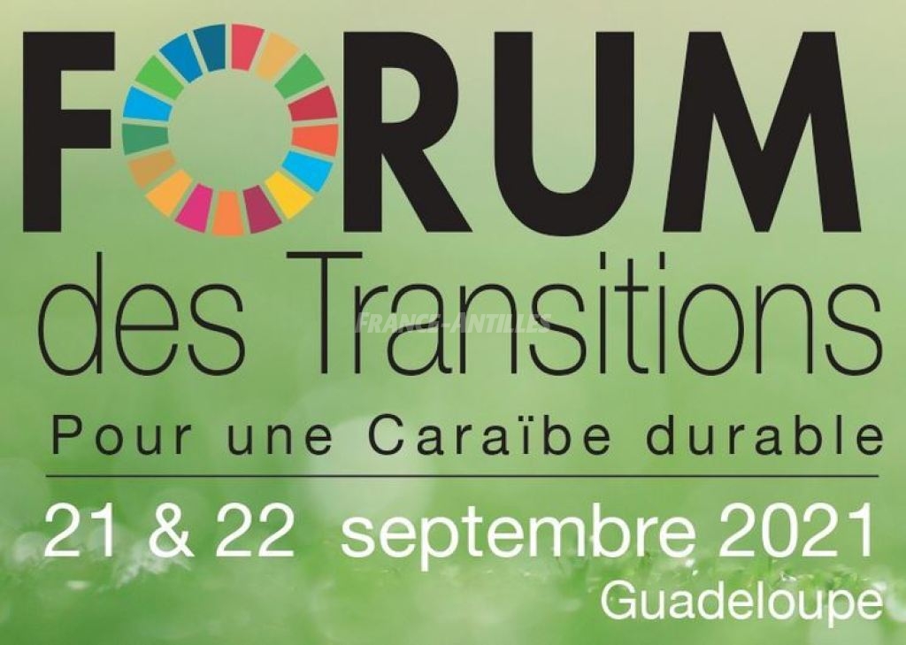     Forum des Transitions pour une Caraïbe durable

