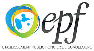     Patrick Sellin élu président de l'EPF

