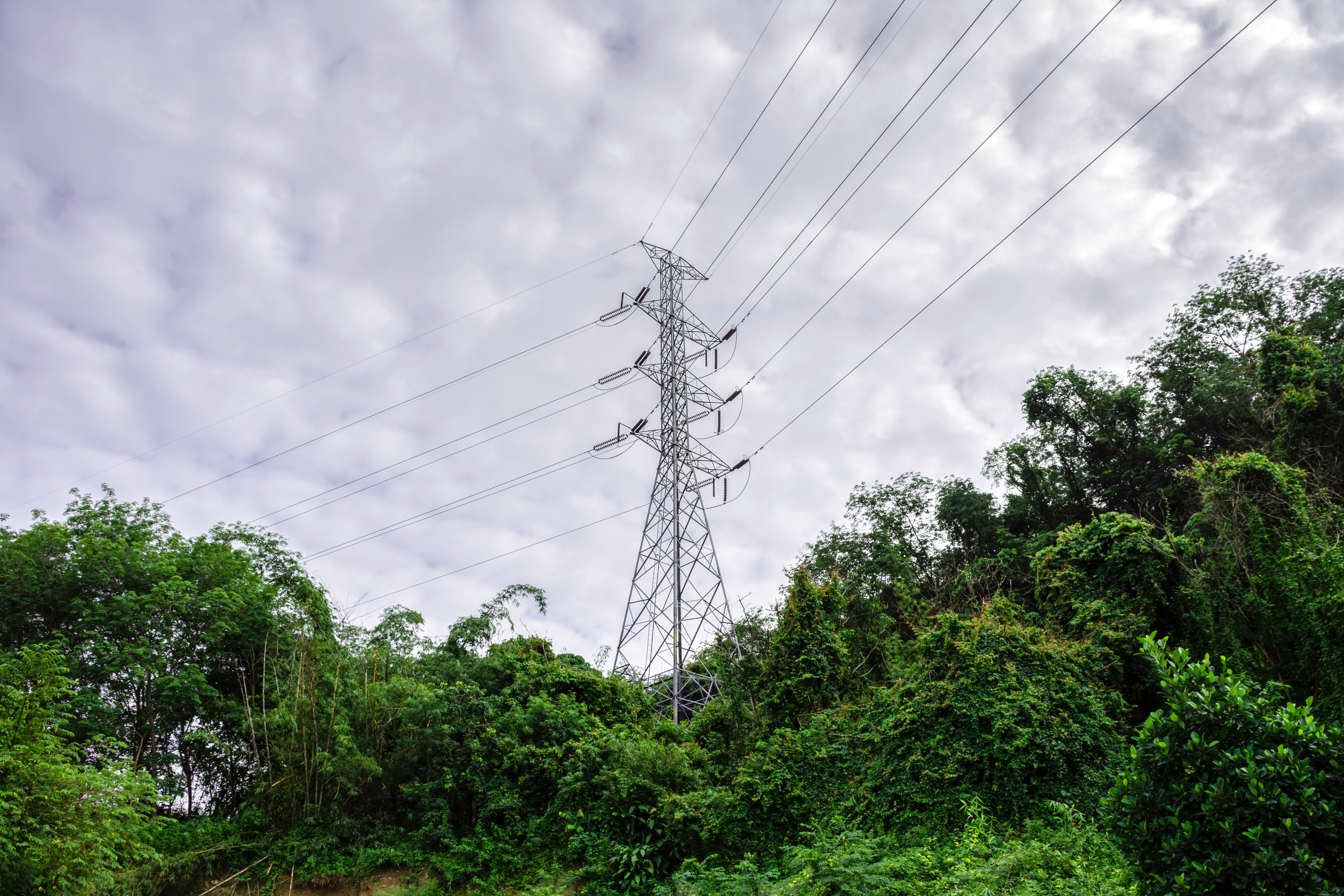     Ouragan Béryl : 10 000 clients EDF privés d’électricité en Martinique

