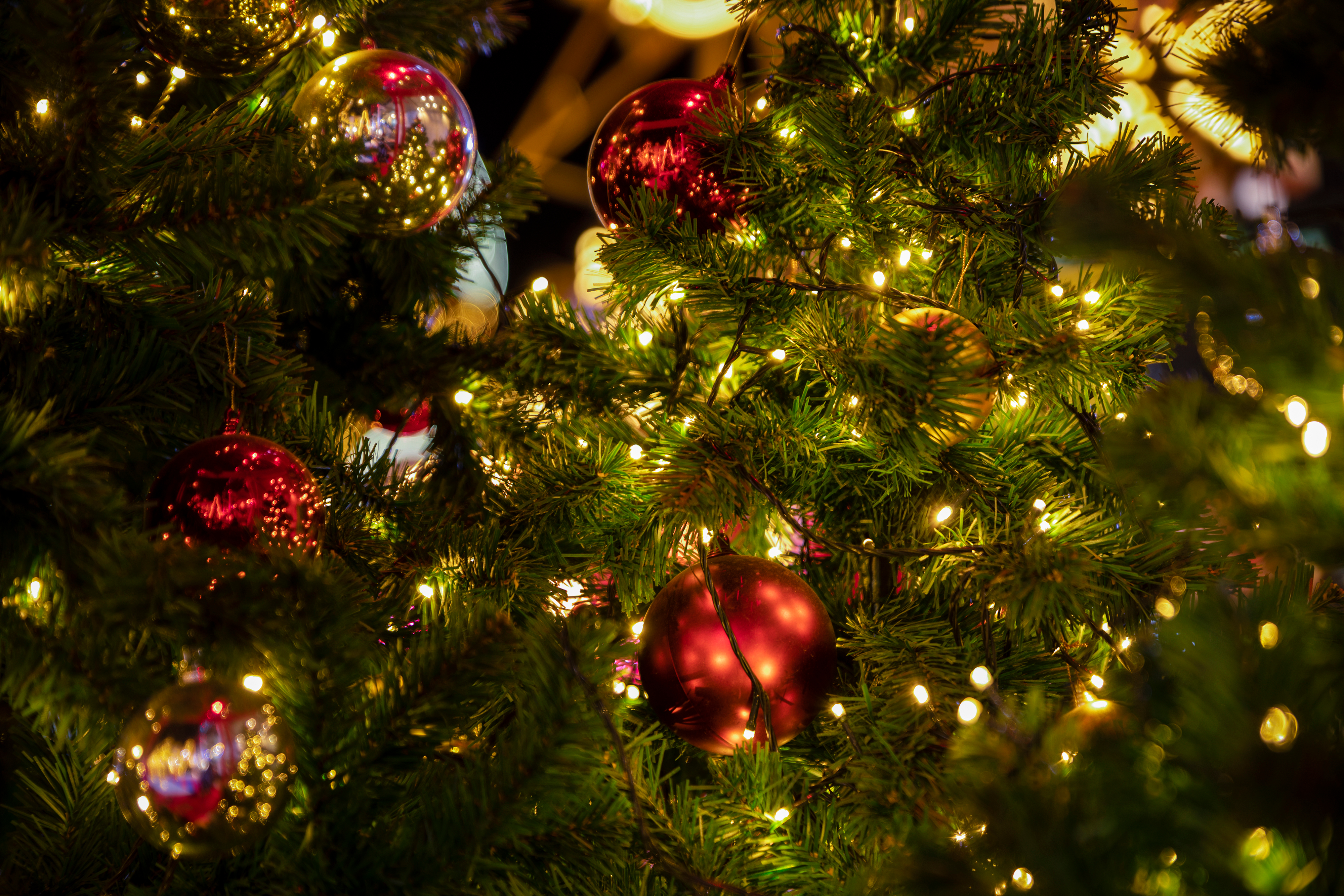     Un arbre de Noël et des cadeaux pour plus de 500 enfants de l’aide sociale

