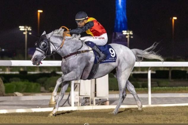     Equitation : Arnaud de Lepine débute sa saison au Qatar avec brio

