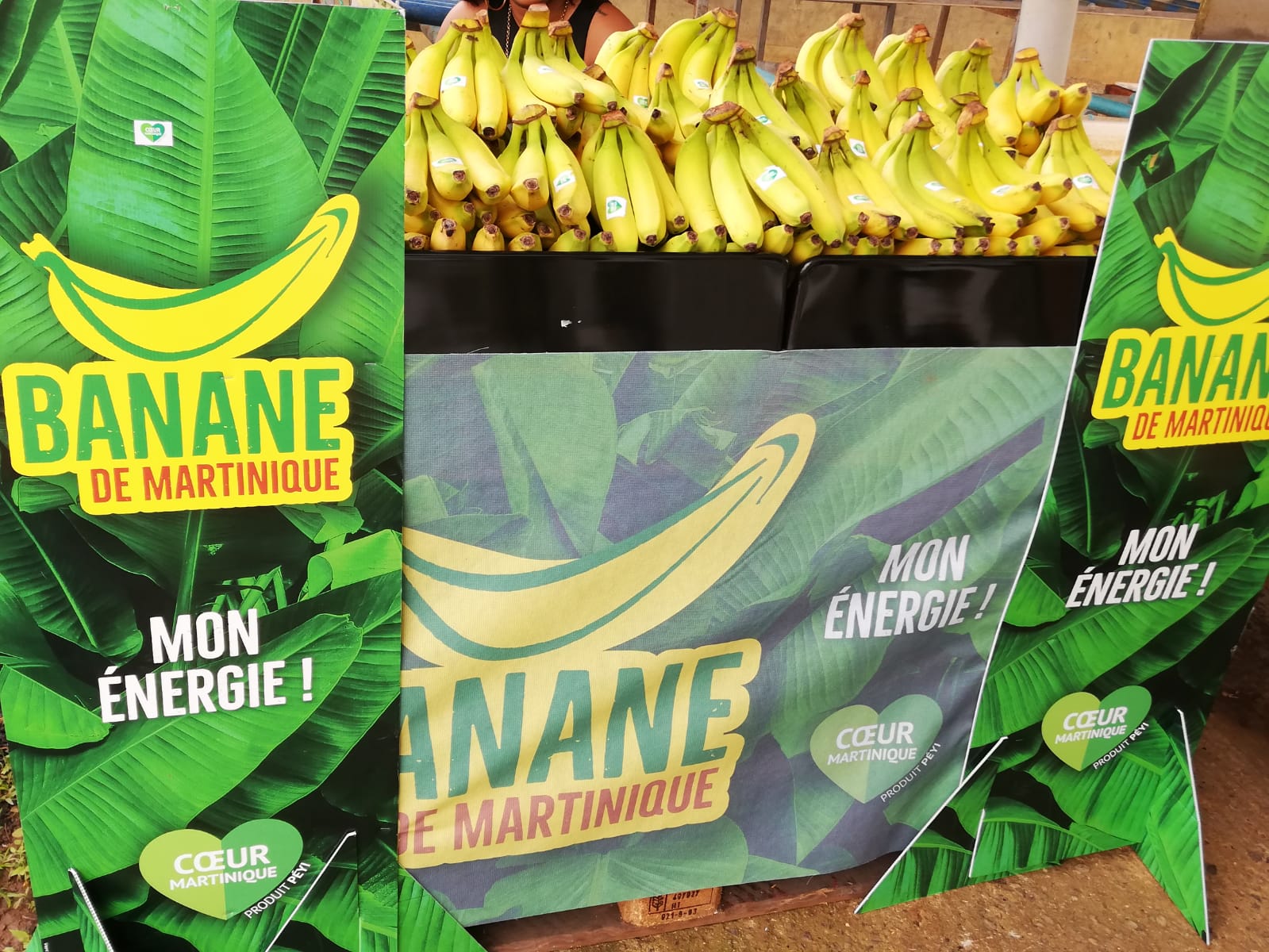     Place à la Banane de Martinique !

