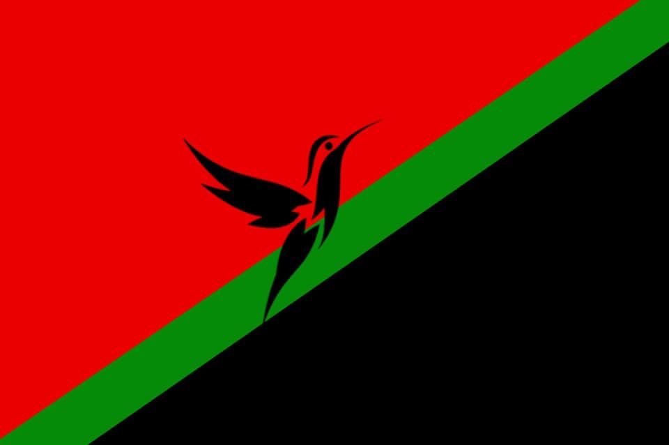 Polémique autour du drapeau de Martinique : sa créatrice s'est exprimée sur  les réseaux sociaux
