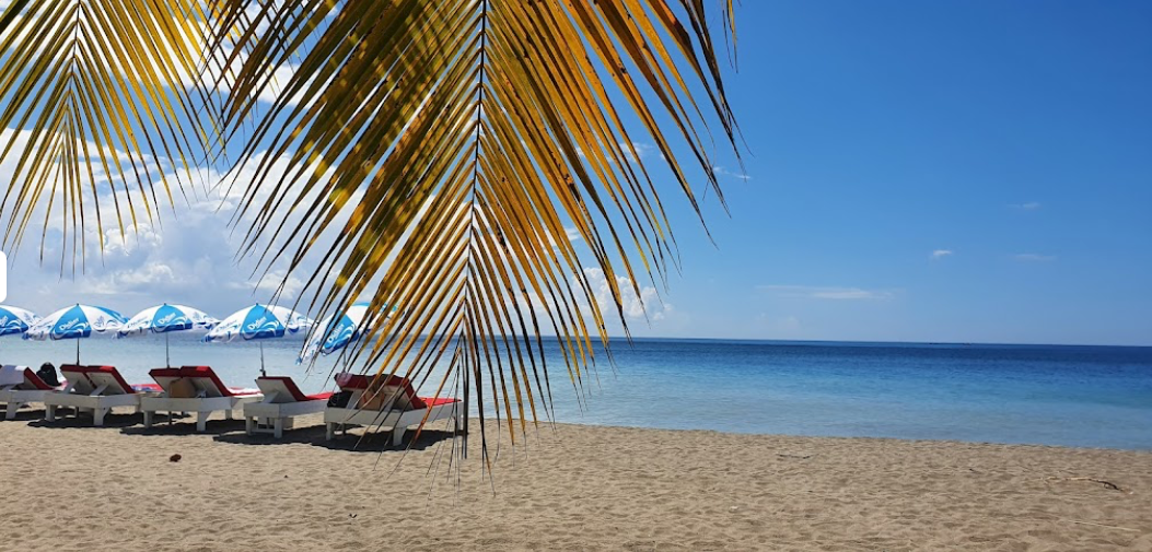     La Martinique dans le Top 23 des meilleures îles à visiter en 2023 du Caribbean Journal

