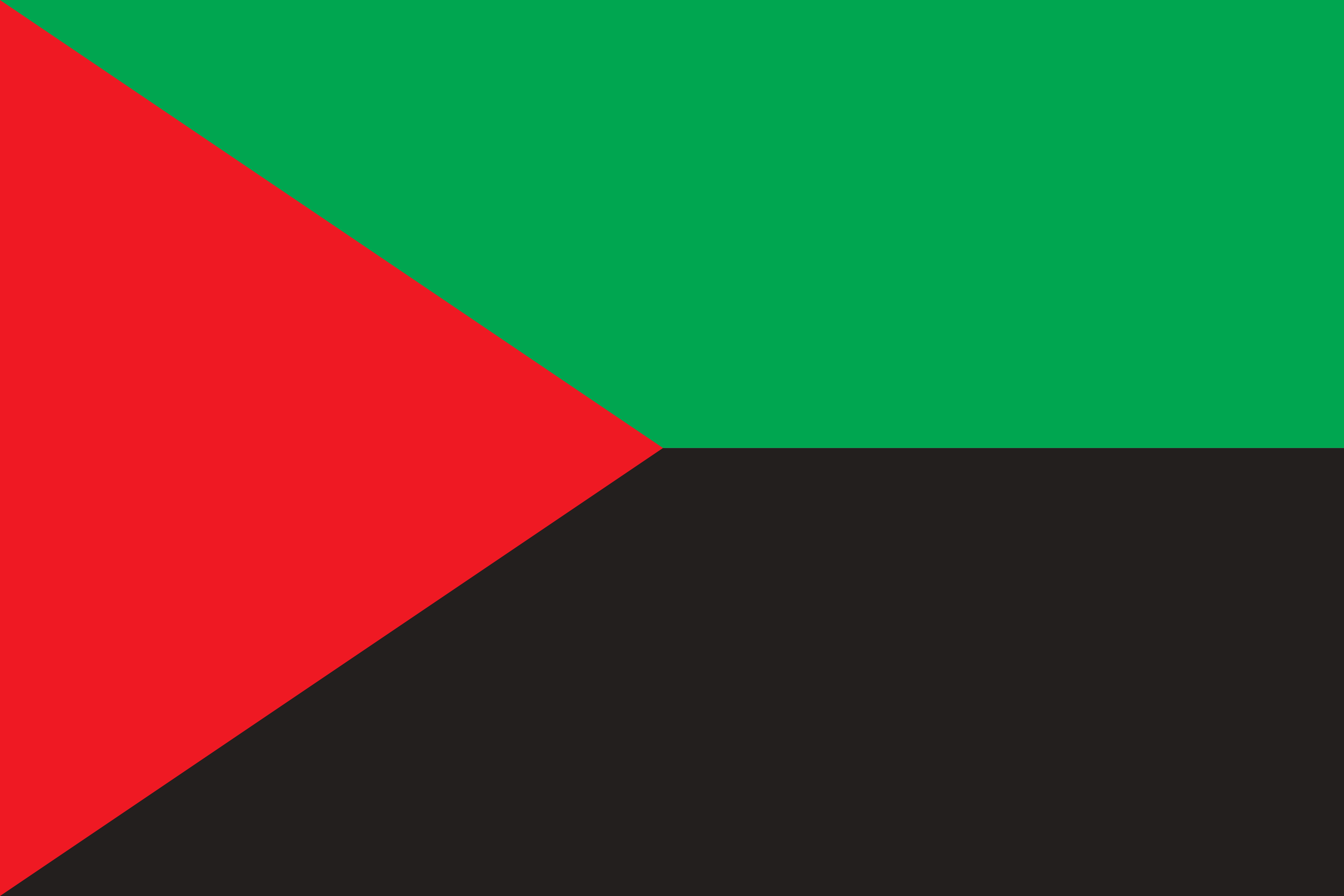     Les élus de la CTM adoptent le drapeau Rouge-Vert-Noir 

