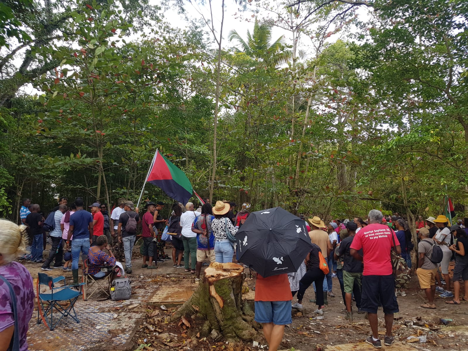     L'Assaupamar mobilisée contre la construction de logements sur une mangrove à l'Anse Mitan

