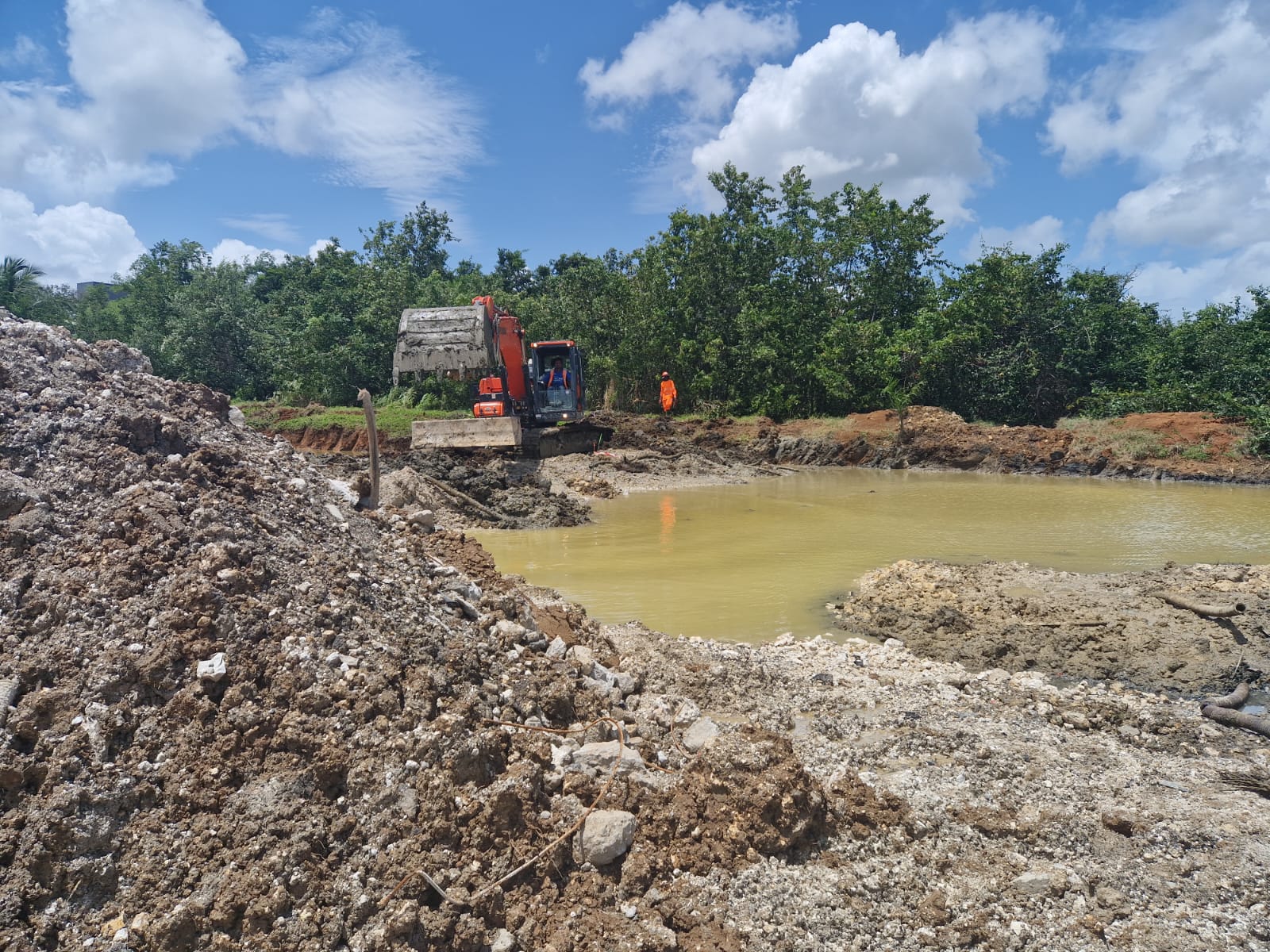     [En images] Des travaux pour redonner vie à la mangrove de Jarry

