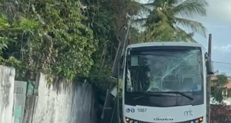     Un bus percuté par la chute d'un poteau téléphonique sur la route de Redoute

