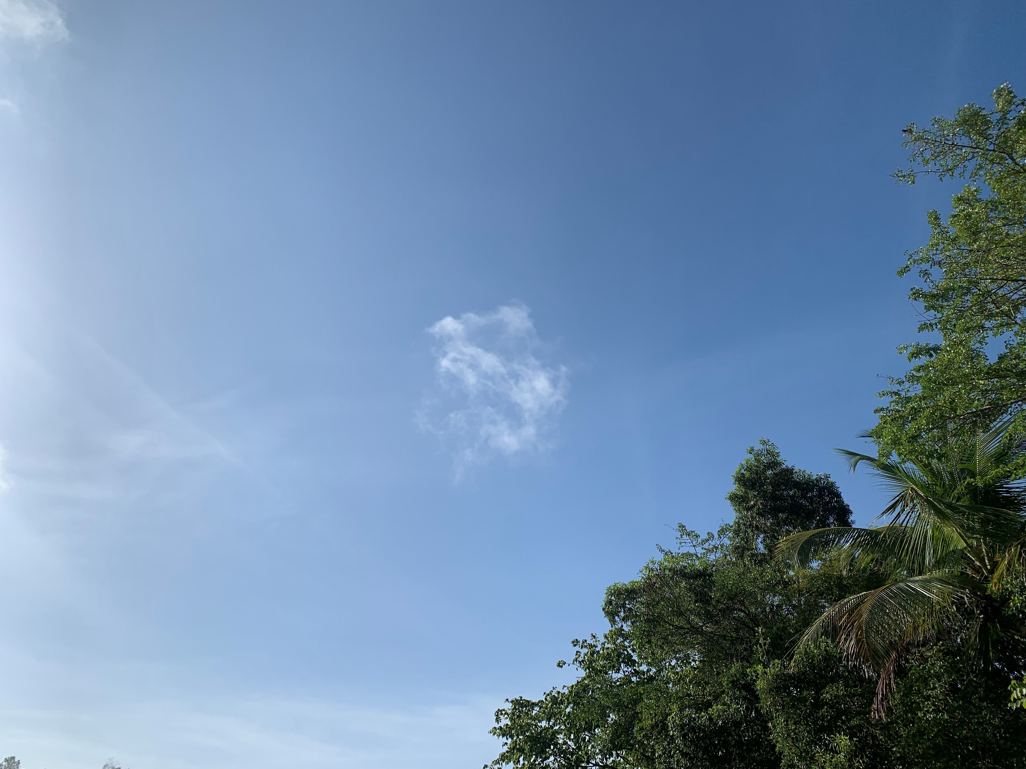     « Fortes pluies et orages » : la Guadeloupe repasse au vert 

