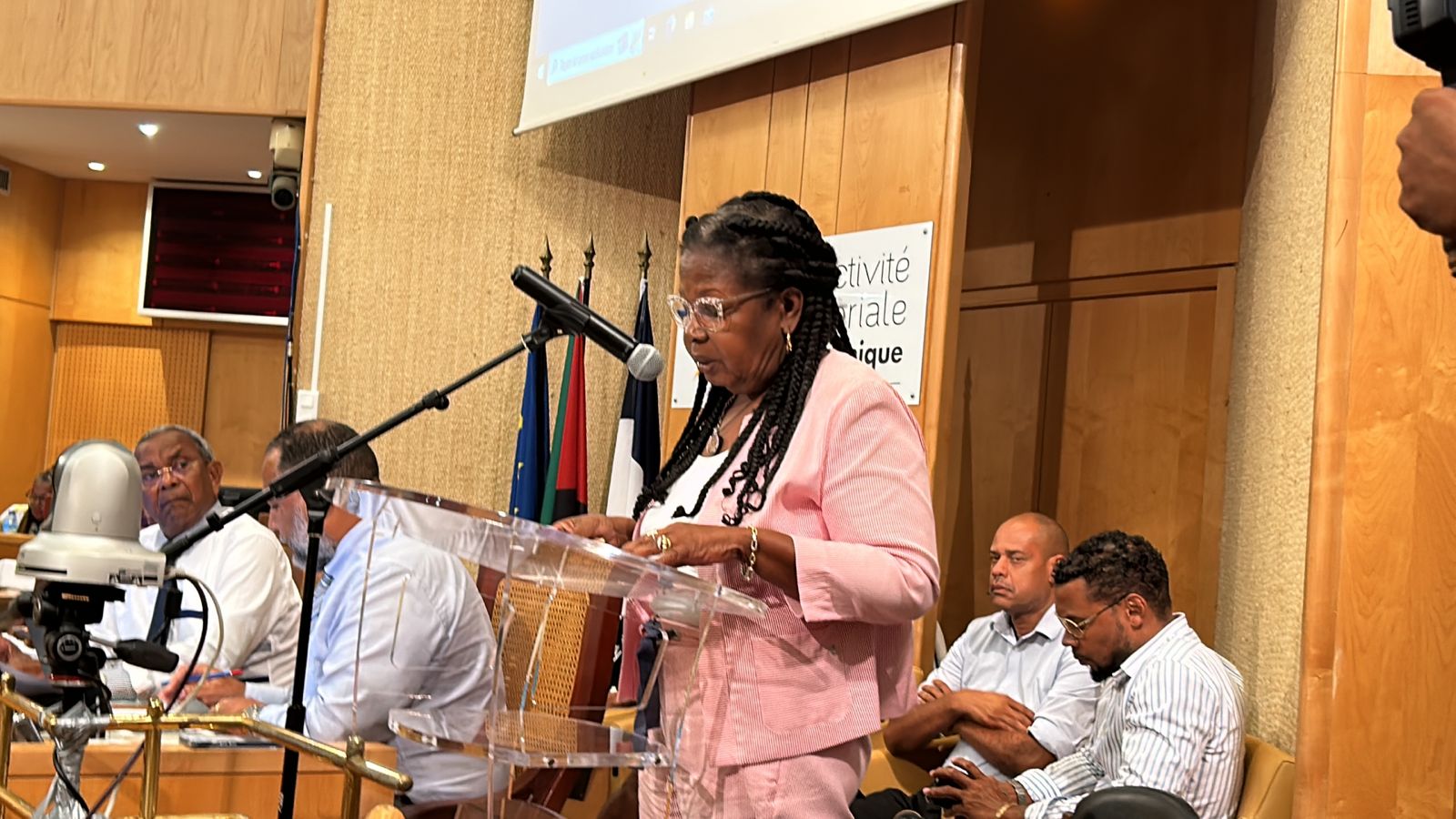     La Collectivité Territoriale de Martinique reconnaît le créole comme « langue officielle » 

