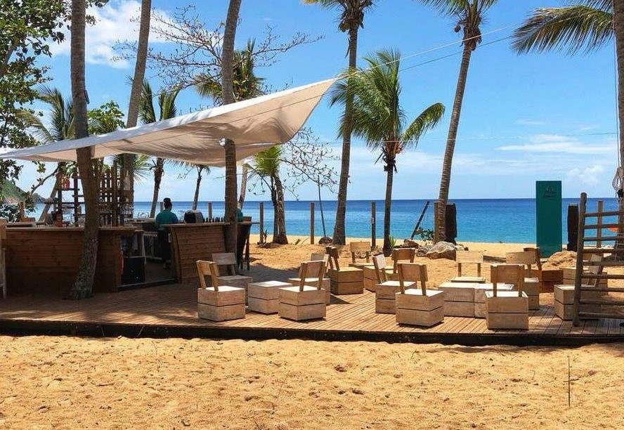     En Guadeloupe, un restaurant condamné à 375 000 euros pour destruction d’un site de ponte de tortues marines

