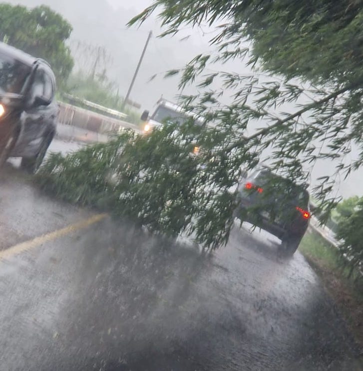     Fortes pluies : des montées des eaux observées en Martinique

