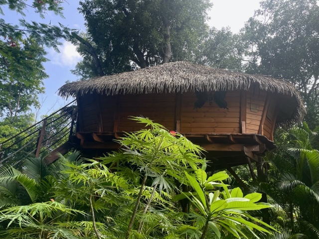     [VACANCES INSOLITES 2/4] Séjourner dans une cabane dans les arbres au milieu de la forêt 

