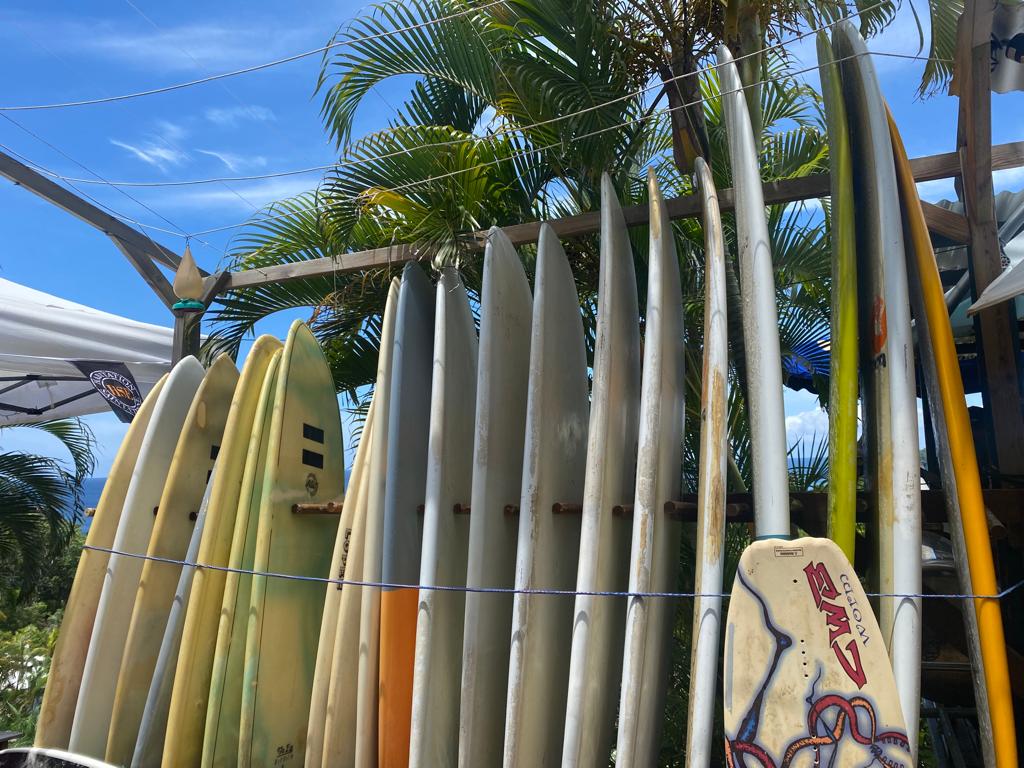     « Kooks Cup » à Tartane : l’élection du pire surfeur 

