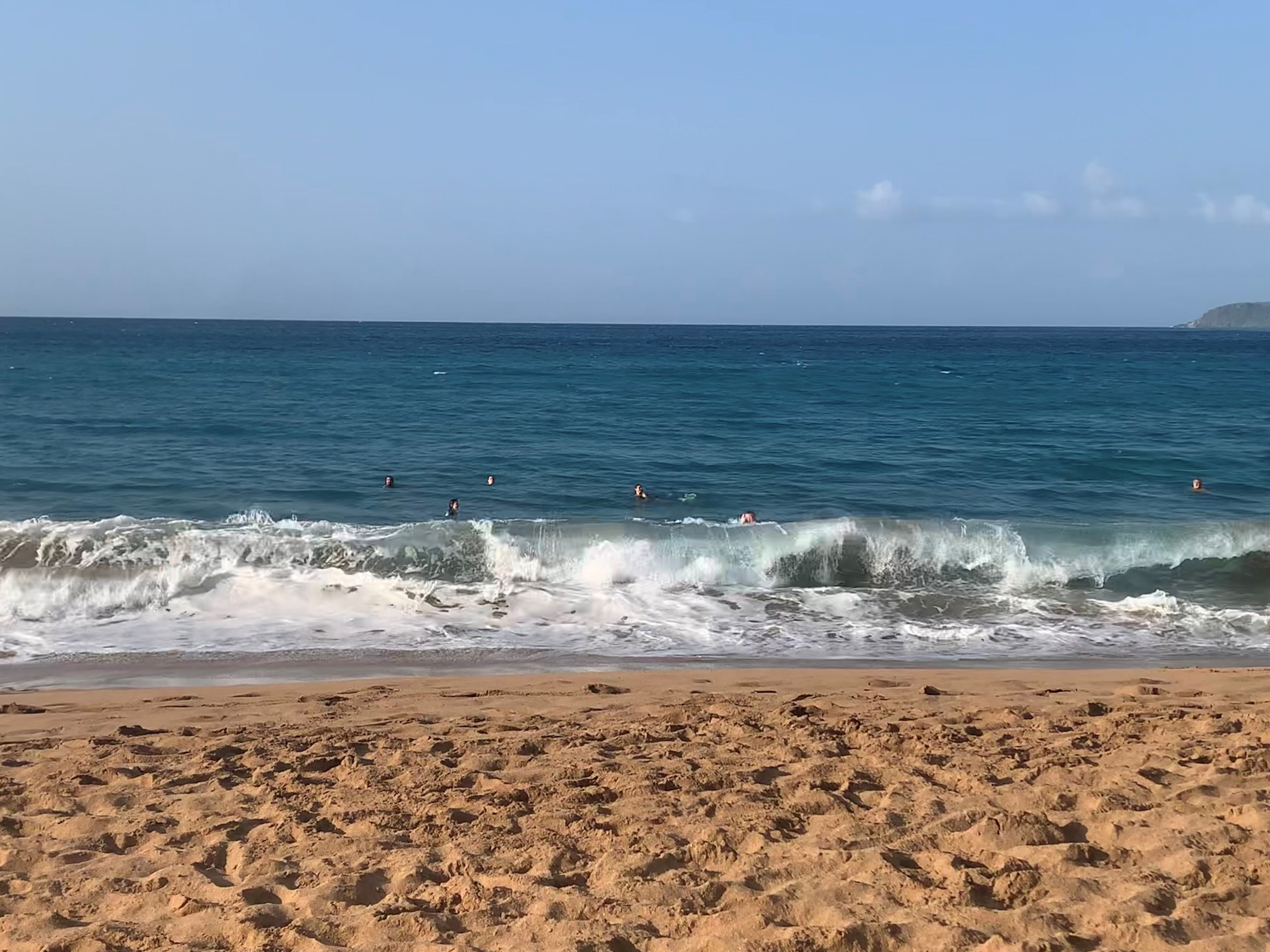     Deshaies : la baignade de nouveau autorisée sur la plage de Grande-Anse

