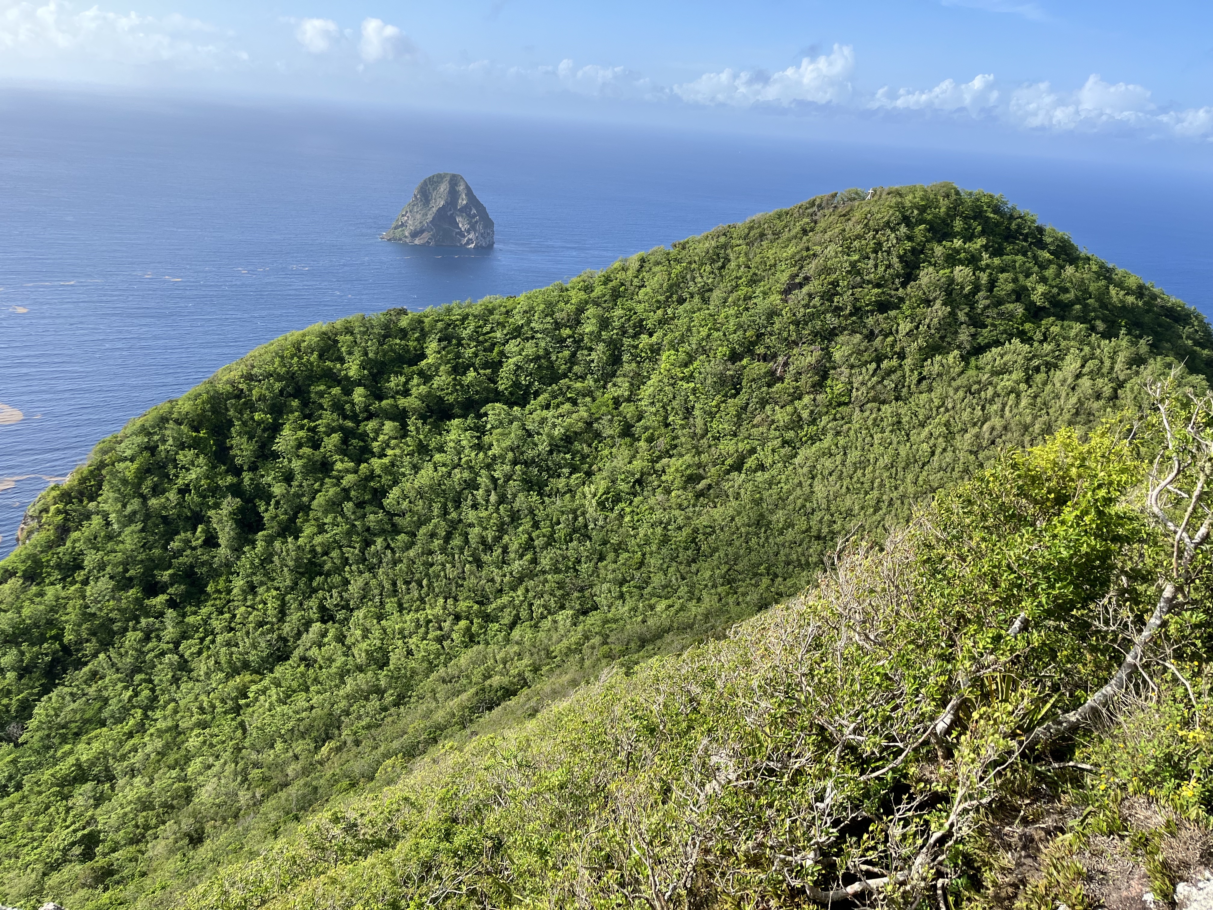     Le Comité Martiniquais du Tourisme et la Réserve de Biosphère ensemble pour valoriser « les richesses » de l’île

