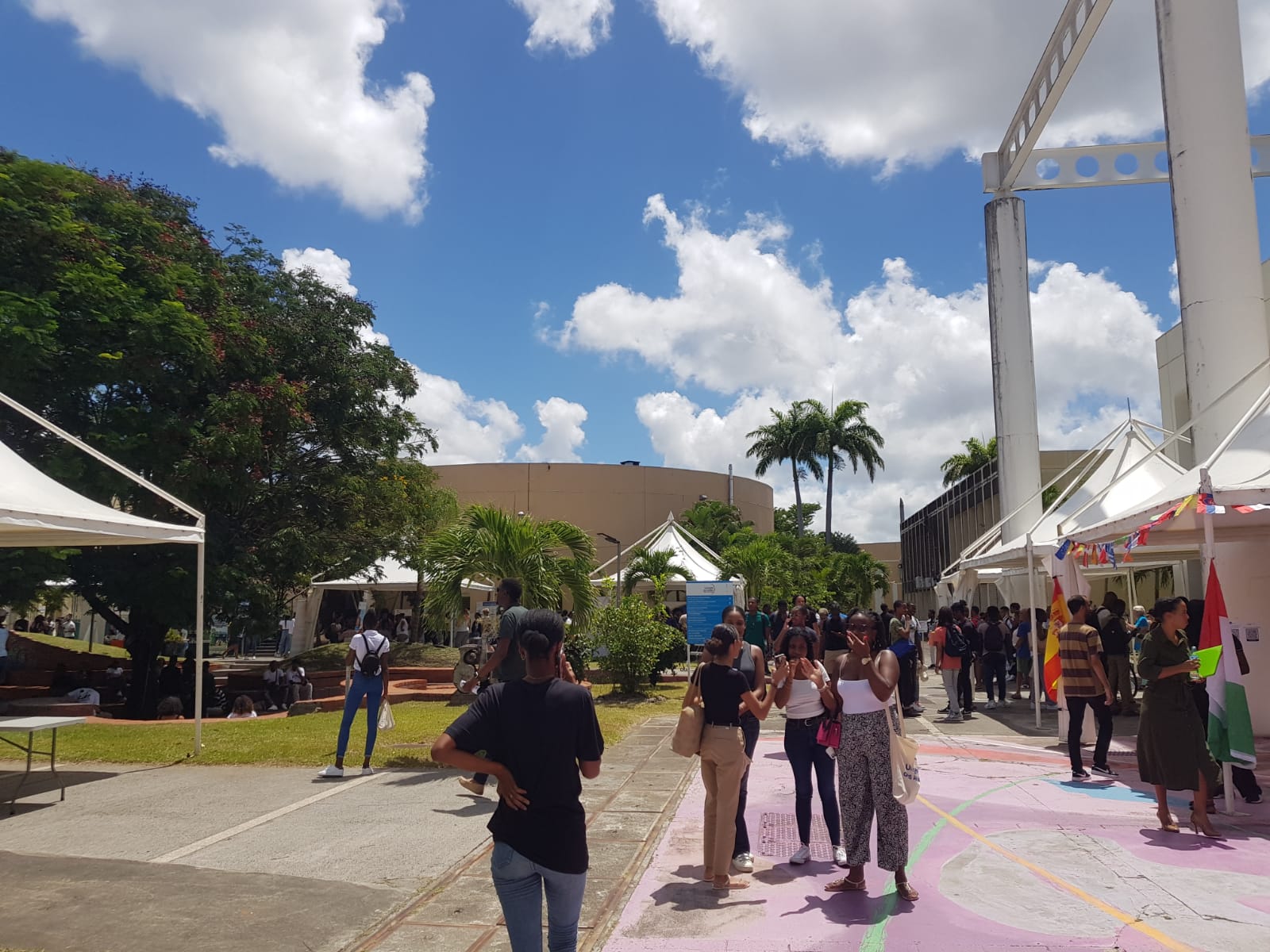     La CTM aidera l'installation d'une trentaine d'étudiants étrangers en Martinique

