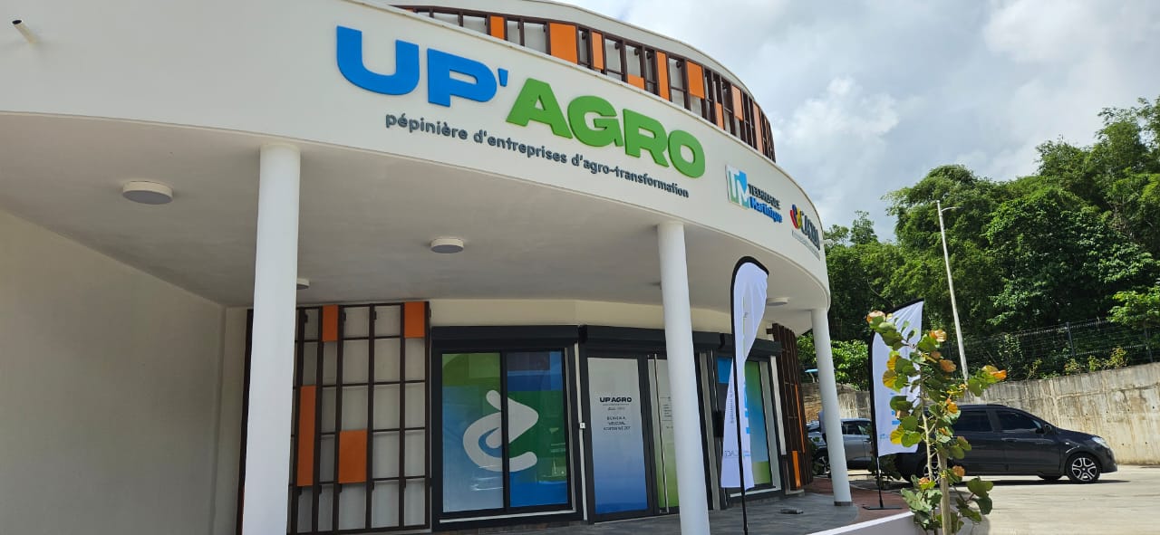     « Up Agro », un nouvel outil pour les entrepreneurs en agro-transformation

